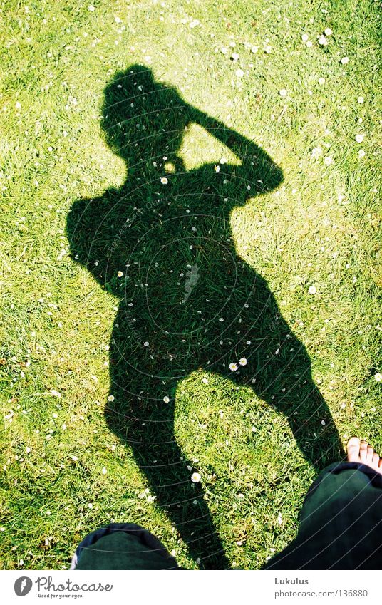 shadow journalist Wind Summer Grass Alert Shadow Bright Contentment Freedom