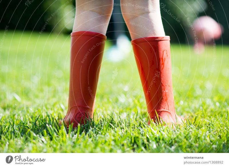 red boots on the green gras Child Girl 1 Human being 3 - 8 years Infancy Earth Drops of water Sun Spring Rain Grass Garden Rubber boots Freedom Joy Idea