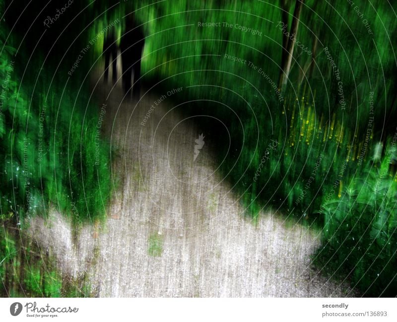 shady umbrage Forest Green Black Dark Shadowy existence Dark side Transience Fear Panic Lanes & trails Death End of the tunnel Blur