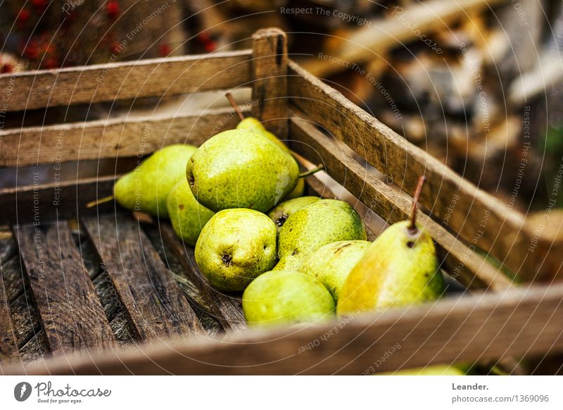 Pears II Environment Nature Beautiful weather Plant Garden Decoration Appetite Idea Inspiration Autumn Summer Crate Eating Delicious Authentic Fruit