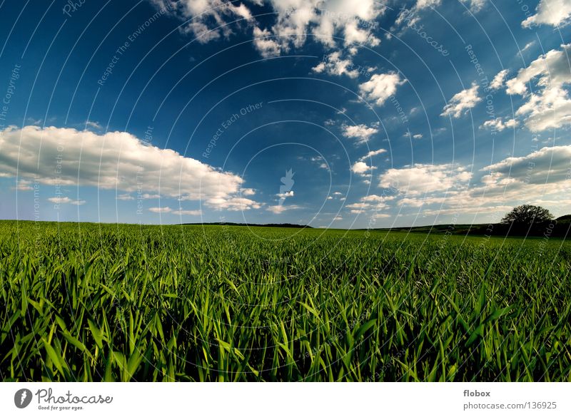 Green and blue... SECOND Agriculture Landscape Nature Clouds in the sky Cloud field Field Deserted Wide angle Central perspective Picturesque Beautiful weather