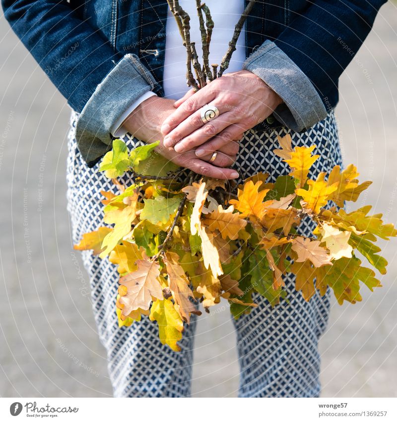 page collection Leisure and hobbies To go for a walk Human being Feminine Woman Adults Female senior 1 45 - 60 years Leaf Pants Jacket Jewellery Ring Blue
