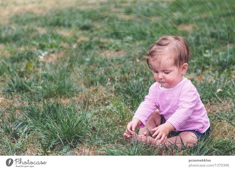 Baby girl sitting on a grass in the garden Lifestyle Joy Happy Beautiful Playing Child Human being Toddler Girl Infancy 1 0 - 12 months Grass Garden Park Sit