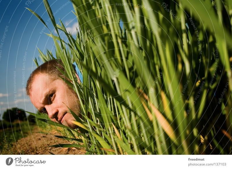 farmer Field Hunter Find Looking Hongkong Clouds Hand Meadow Unshaven Facial hair Funny Humor Search Photographer Take a photo Forest-dweller Skeptical