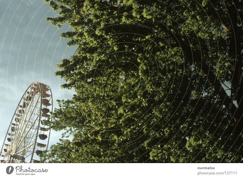 Fun against nature Fairs & Carnivals Ferris wheel Crash Lottery booth Unbearable Grating Joy Annihilate Unnatural Alcohol-fueled Giddy Rotate Tree Spring