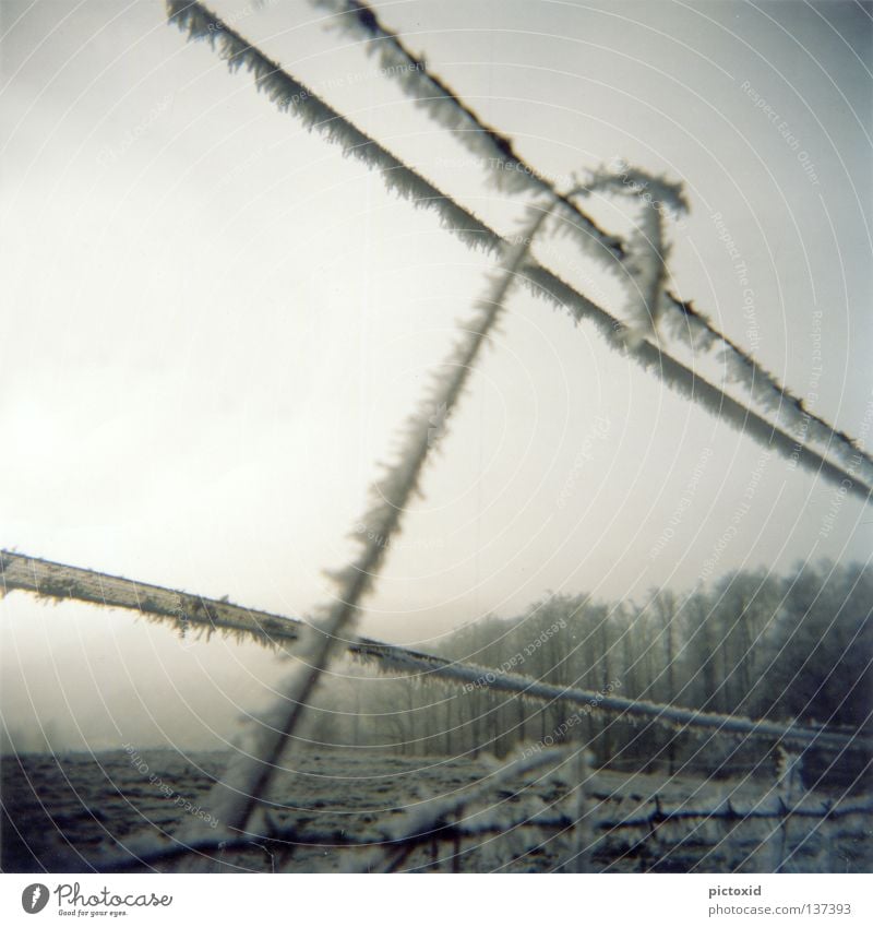 snow line Fence Forest Meadow Frozen Cold Ice Winter Snowscape Frostwork Gloomy Loneliness Twilight Holga Nature Crystal structure Lomography