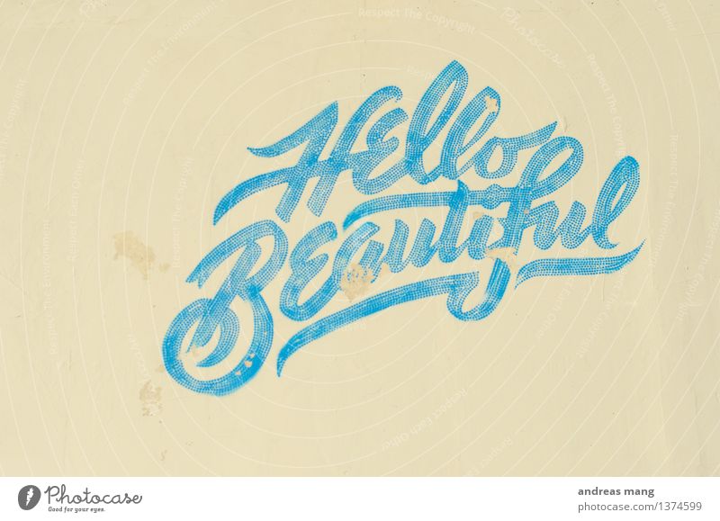 #308 / Hello beautiful Style Design Beautiful Art Culture Subculture Graffiti Wall (barrier) Wall (building) Write Old Simple Exotic Rebellious Retro Town