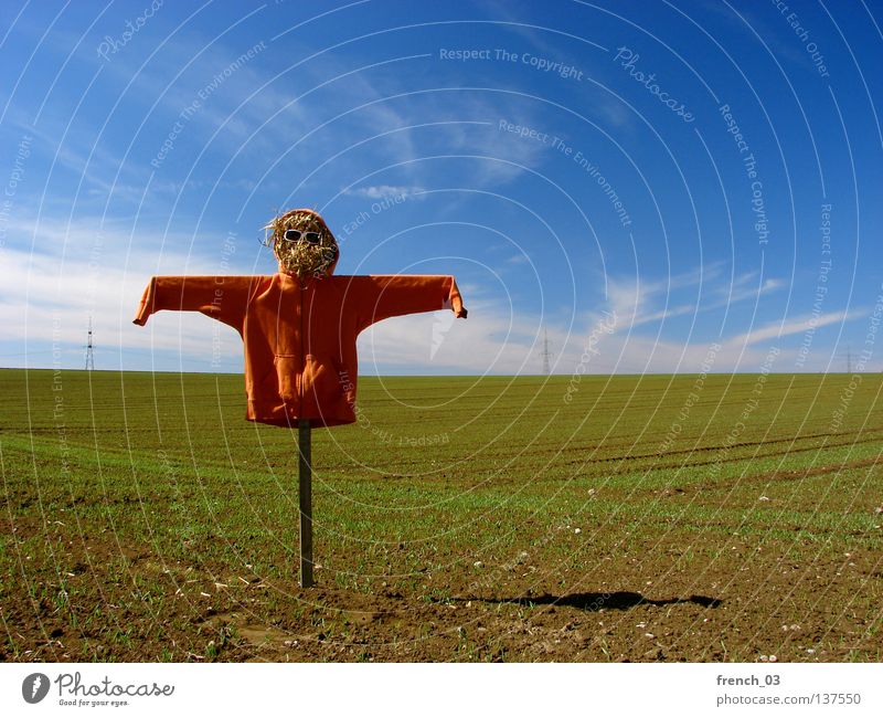 want to be pretty Scarecrow Hideous Hooded (clothing) Field Sweater Straw Sunglasses Clouds Sky Eyeglasses Wood Ghosts & Spectres  Creepy Loneliness Bird Guard