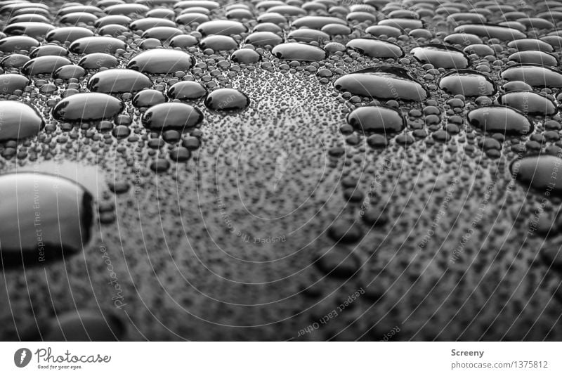 mountain scenery Water Drops of water Wet Surface tension Structures and shapes Black & white photo Exterior shot Detail Macro (Extreme close-up) Deserted Day