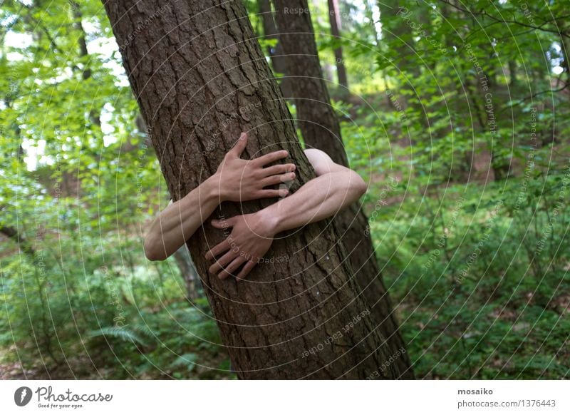 hug Man Adults Arm Nature Tree Forest Embrace Athletic Passion Environment Force of nature Life Joie de vivre (Vitality) Naked flesh Hand Love Summer