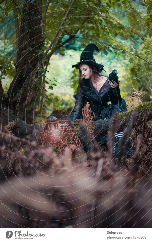 tomorrow I brew Carnival Hallowe'en Human being Feminine Woman Adults 1 Nature Autumn Forest Hat Creepy Witch witch hat Colour photo Exterior shot