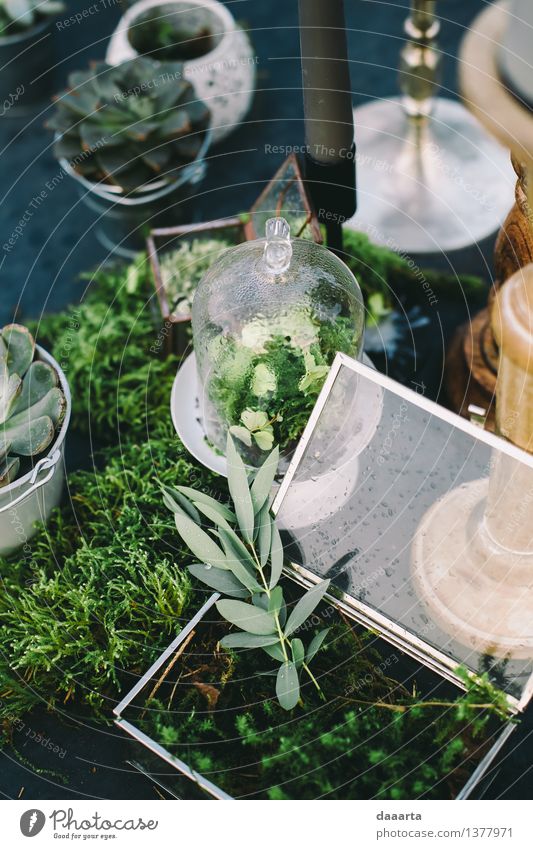 table setting Lifestyle Elegant Style Design Harmonious Relaxation Leisure and hobbies Adventure Freedom Summer Table Event Nature Plant Drops of water Grass