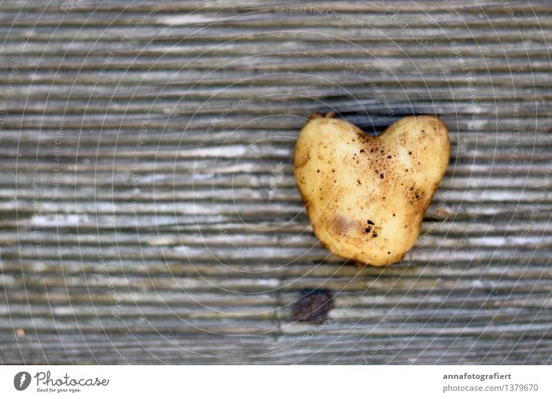 Potato with heart Nature Wood Love Authentic Kitsch Brown Friendship Together Attachment Potatoes Heart Colour photo Close-up Day Contrast