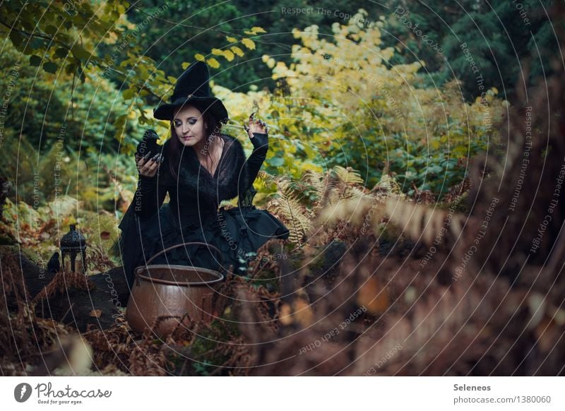 witch's brew Carnival Hallowe'en Human being Feminine Woman Adults 1 Nature Autumn Fern Forest Creepy Carnival costume Witch Witch's fire Boiler Raven birds