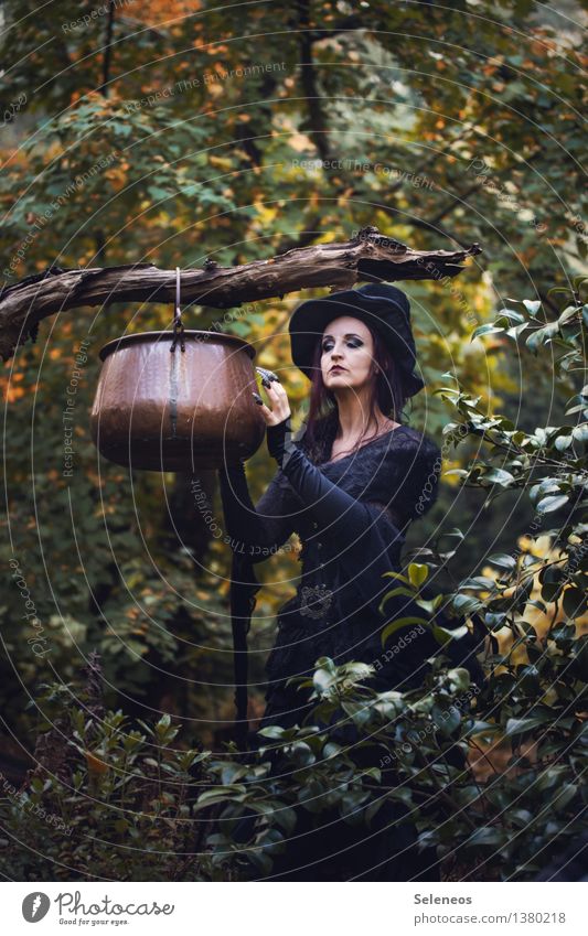 hex Nutrition Human being Feminine Woman Adults 1 Subculture Rockabilly Environment Nature Autumn Tree Forest Hat Boiler witch's cauldron Witch Cooking Branch