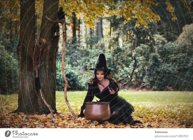 All organic! Carnival Hallowe'en Human being Feminine Woman Adults 1 Environment Nature Autumn Beautiful weather Tree Grass Autumn leaves Leaf Meadow Forest
