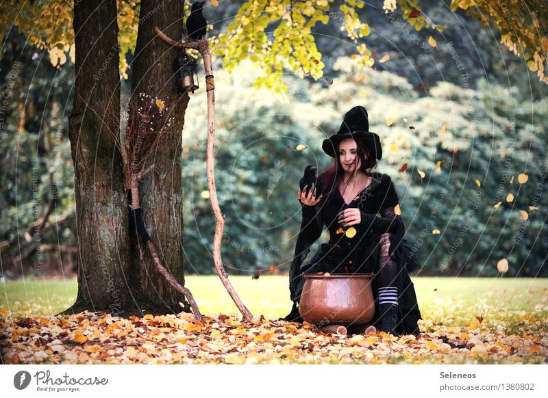 Halloween is coming Hallowe'en Human being Feminine Woman Adults 1 Autumn Beautiful weather Tree Leaf Garden Park Forest Hat Witch Witch's broom Boiler