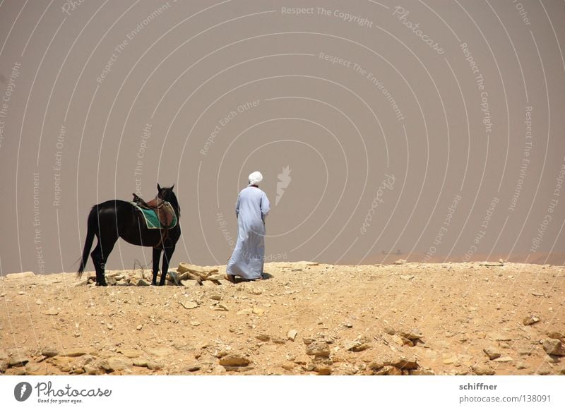 Separate ways Badlands Divide Loneliness Bedouin Horse Egypt Africa Desert Sand part leave sb. alone away into the unknown lag desert man desert horse