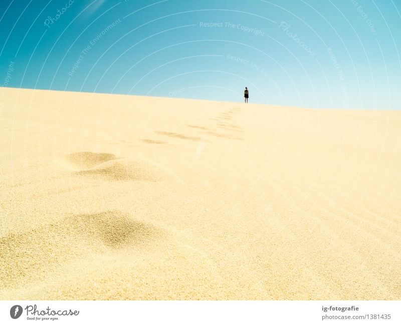 taking footsteps in the desert in the sun for a long walk Trip Adventure Far-off places Summer Career Feet Sand Footprint Driving Hot Long Beginning Desert Way