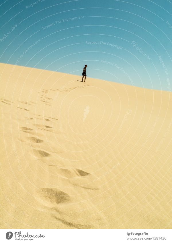 long way - footprints on sand dune in the desert Summer Career Feet Sand Footprint Driving Hot Long Emotions Enthusiasm Success Power Willpower Determination