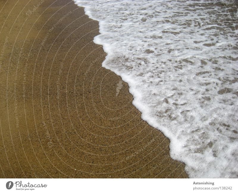 sea level Vacation & Travel Beach Ocean Waves Sand Water Line White Sea water Colour photo Sandy beach White crest Water line Deserted Copy Space left