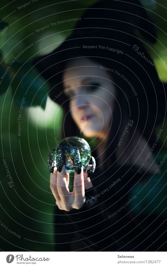 dreams of the future Carnival Hallowe'en Human being Feminine Hand Fingers Fingernail 1 Forest Hat Crystal ball Observe Advice To hold on Fortune-telling