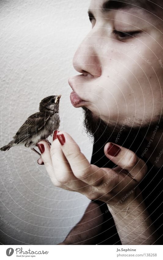 he loves birds. Man Adults Kissing Love Cute Soft Safety (feeling of) Love of animals Sparrow Feather Face Facial hair Pout Nail polish by hand To hold on