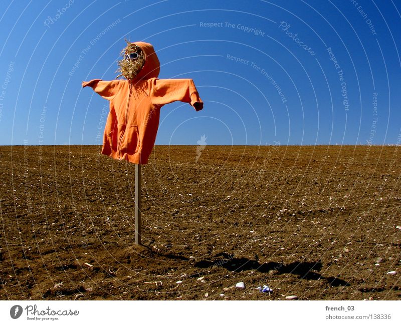 scare crow Scarecrow Hideous Hooded (clothing) Field Sweater Straw Sunglasses Clouds Sky Eyeglasses Wood Ghosts & Spectres  Creepy Loneliness Bird Guard Horizon