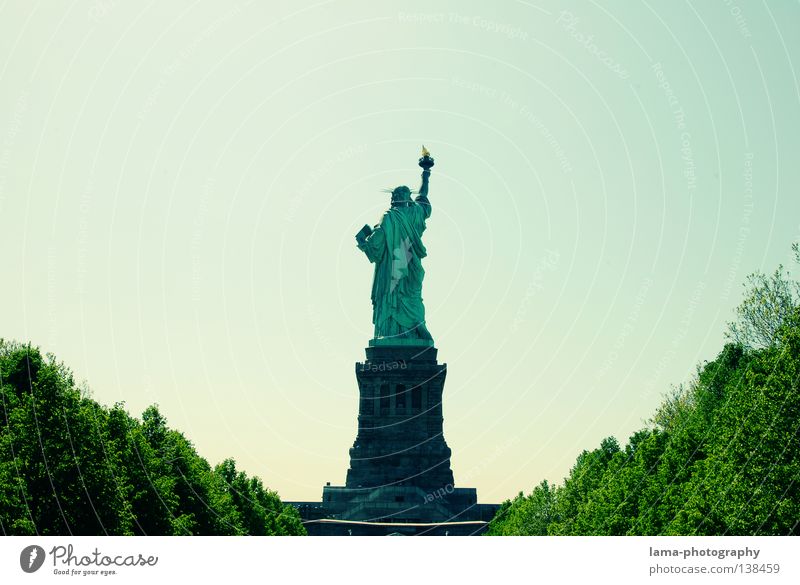 a beautiful back... New York City Manhattan Americas USA Art Landmark Statue Lady Symbols and metaphors Freedom France Tall Patina Historic Monument Avenue Tree
