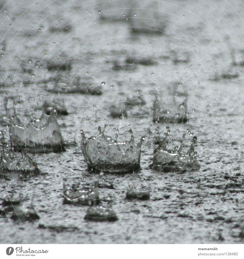 raindrop crowns Exterior shot Day Water Drops of water Weather Bad weather Storm Gale Rain Thunder and lightning Hail Wet Damp Inject Puddle raindrops Crown