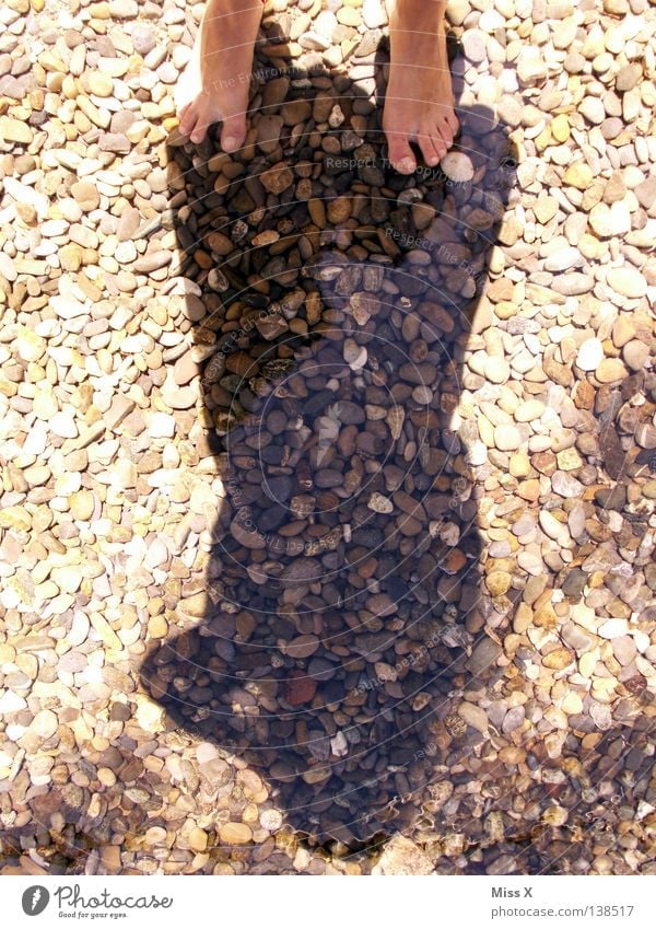 Kneipp Colour photo Exterior shot Shadow Swimming & Bathing Bathroom Feet Water Brook River Stone Cold Brown Gray Pebble Toes Stony Kneipp cure Foot bath