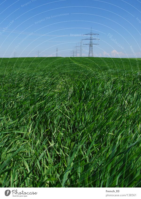 Energy on the fields Clouds Field High voltage power line Electricity Electricity pylon Steel Saxony-Anhalt Horizon Grass Sky Gale Landscape Nature