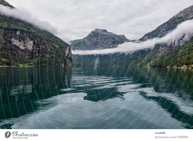 View of the Geirangerfjord Relaxation Vacation & Travel Mountain Nature Landscape Water Clouds Fog Fjord Idyll Tourism Norway Møre og Romsdal destination Sky