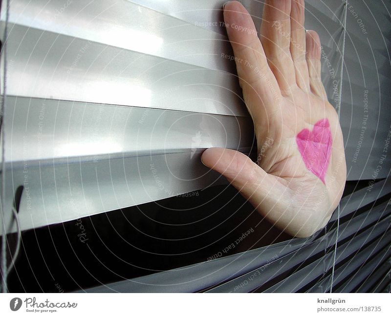 hand on heart Hand Pink Painted Venetian blinds Light Gray Lipstick Symbols and metaphors Love Woman Joy Heart Disk Bright Reflection Silver Through hole