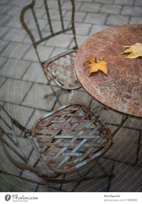 Outdoor time is over Living or residing Chair Table Autumn Leaf Terrace Old Trashy Gloomy shabby-chic Rust Autumn leaves Autumnal colours Seating Deserted