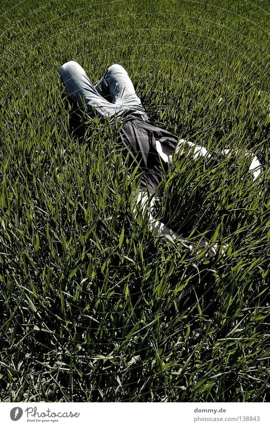chillout III Man Fellow Grass Field Summer Relaxation Pants Shirt Dark Green Sleep Sunbathing Air Fresh Untouched Boredom Jeans Bright face skin Nature