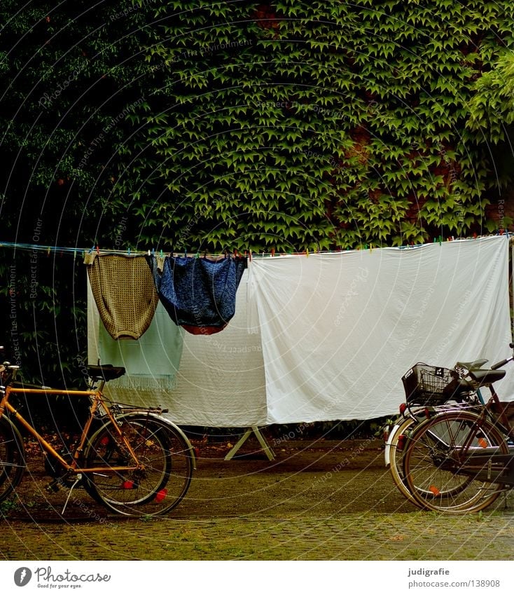 washing day Laundry Clothesline Bicycle Backyard Sheet Jacket Washing day Clean Summer Dry Colour Clothing Living or residing To hold on Farm