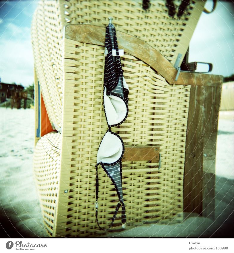 elephant sunglasses Bikini Bra Top Forget Hang Hang up Reticular Basket Swimwear Clothing Beach Ocean Summer Sun Holga Medium format Sandy beach
