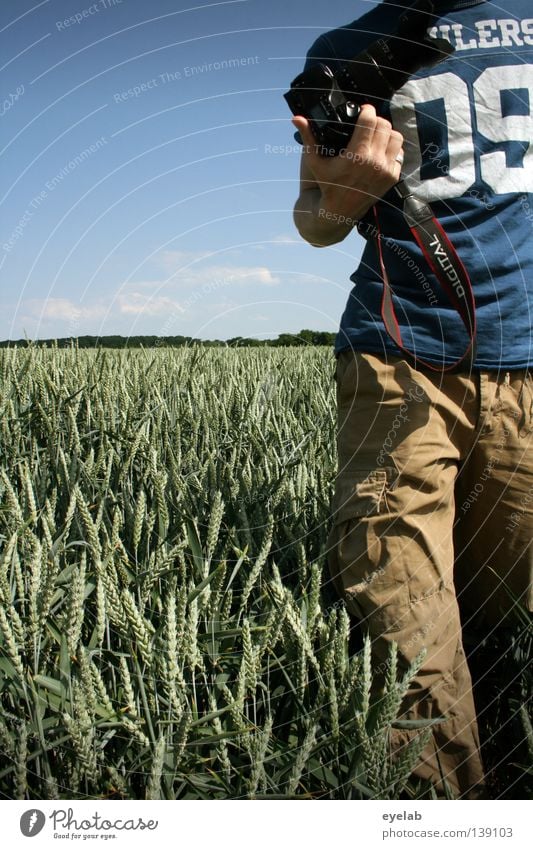 09 Field Agriculture Rye Wheat Oats Millet Summer Horizon Beautiful weather Nutrition Plant Green Wood Growth Natural growth Man Clothing Hand Pants Typography