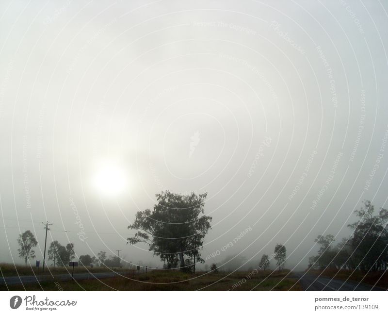 in the morning in rockhampton Fog Calm Australia Pastel tone Morning Idyll Landscape