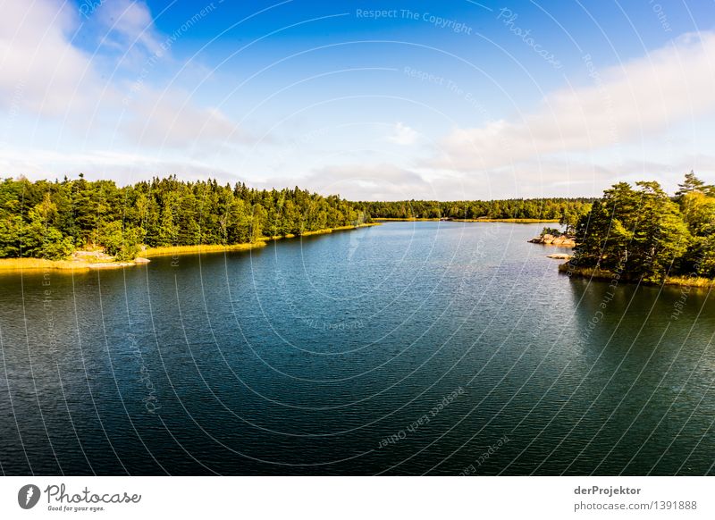 Summer in the archipelago near Stockholm Vacation & Travel Tourism Adventure Far-off places Freedom Summer vacation Sunbathing Environment Nature Landscape