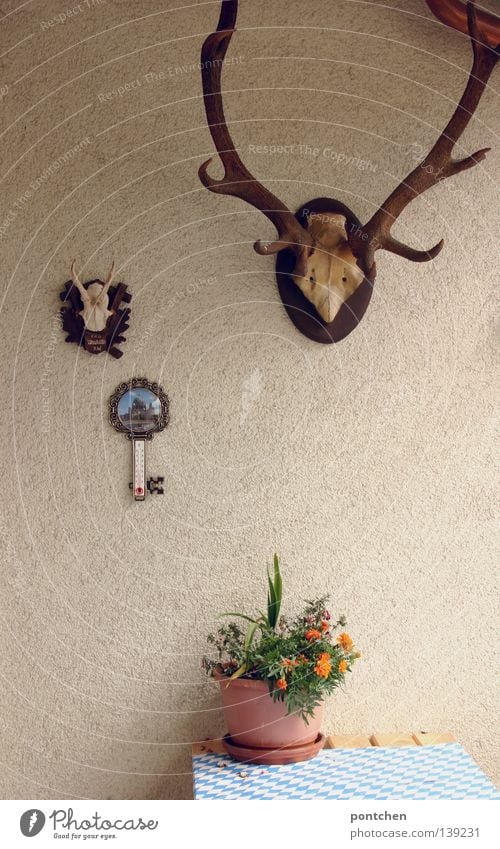 Antlers and a kitschy outdoor thermometer and a plant in a flower pot on a garden table with a paper tablecloth printed with Bavarian diamonds. skewers, bavarian, hunter