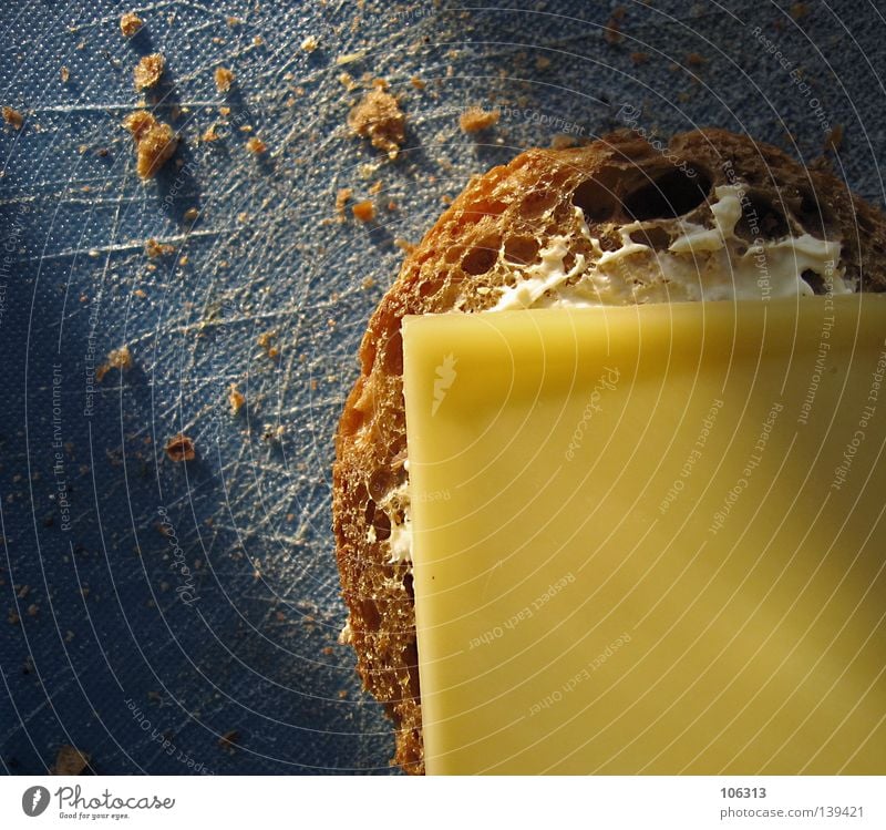PHOTKÄS' Cheese Cheese sandwich Pallid Yellow Nutrition Bread Roll Breakfast Wholewheat Chopping board Blue Brown Dairy Products Crumbs Crumbled Part Meal Light