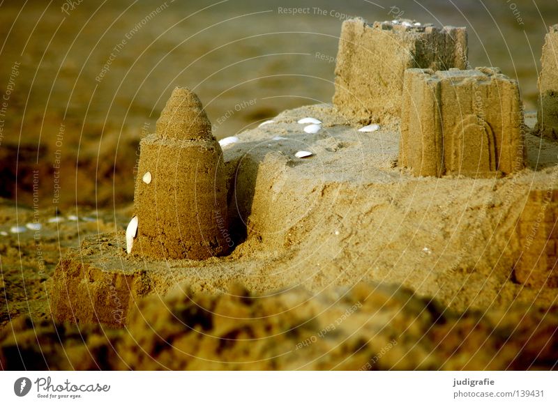 summer Sandcastle Beach Mussel Coast Vacation & Travel Playing Physics House (Residential Structure) Water ditch Colour Baltic Sea North Sea Relaxation Build