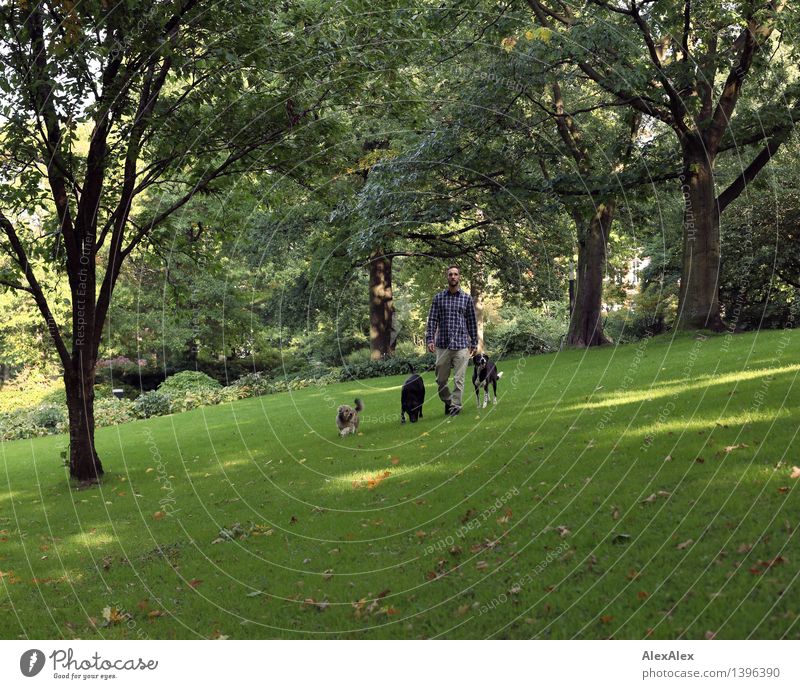 walk the dog³ Trip Hiking Young man Youth (Young adults) Coach Landscape Plant Beautiful weather Tree Grass Bushes Park Brunette Short-haired Beard Pet Dog 3
