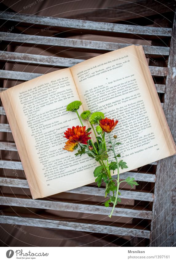 love of books Media Print media Book Reading Study Page Classic Leisure and hobbies Aster Flower Bouquet Bookworm Autumnal Terrace Colour photo Subdued colour