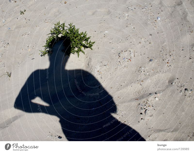 medusa herbaria Shadow Shadow play Sand Beach Sandy beach Vacation & Travel Ocean Plant Hair and hairstyles Crown Hat Upper body Head Man Coast