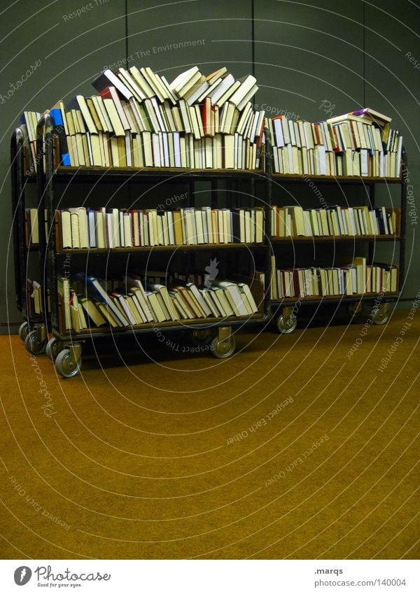 300 | Books Library Know Science & Research Academic studies Mobility Arrange Maximum Row Beaded Trolley Copy Space bottom Interior shot Reading room Study