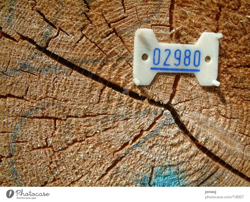 wood number Wood Numbers Fallen Digits and numbers Things Statue Structures and shapes