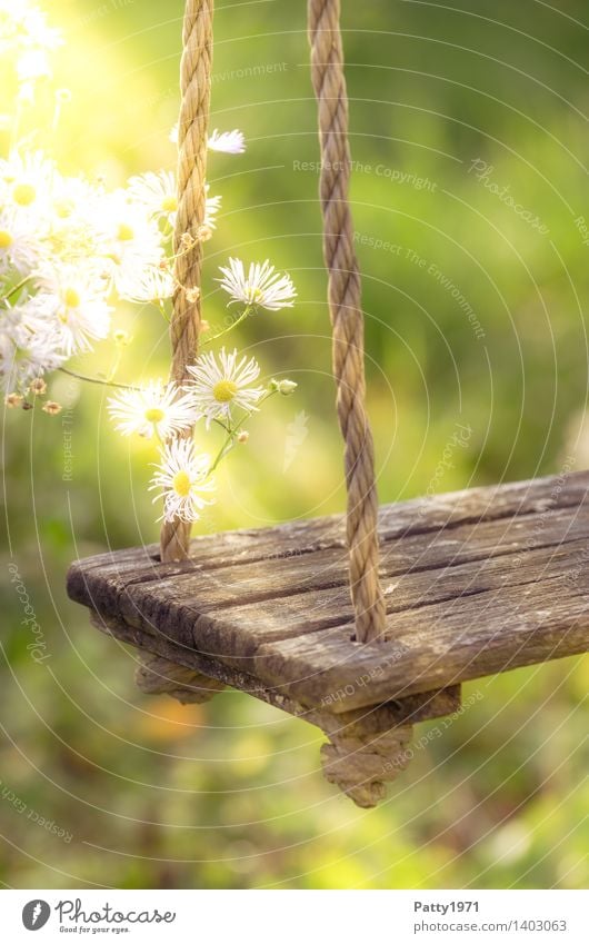 old swing Leisure and hobbies Playing Flower Swing To swing Old Joy Happiness Joie de vivre (Vitality) Romance Contentment Idyll Exterior shot Morning